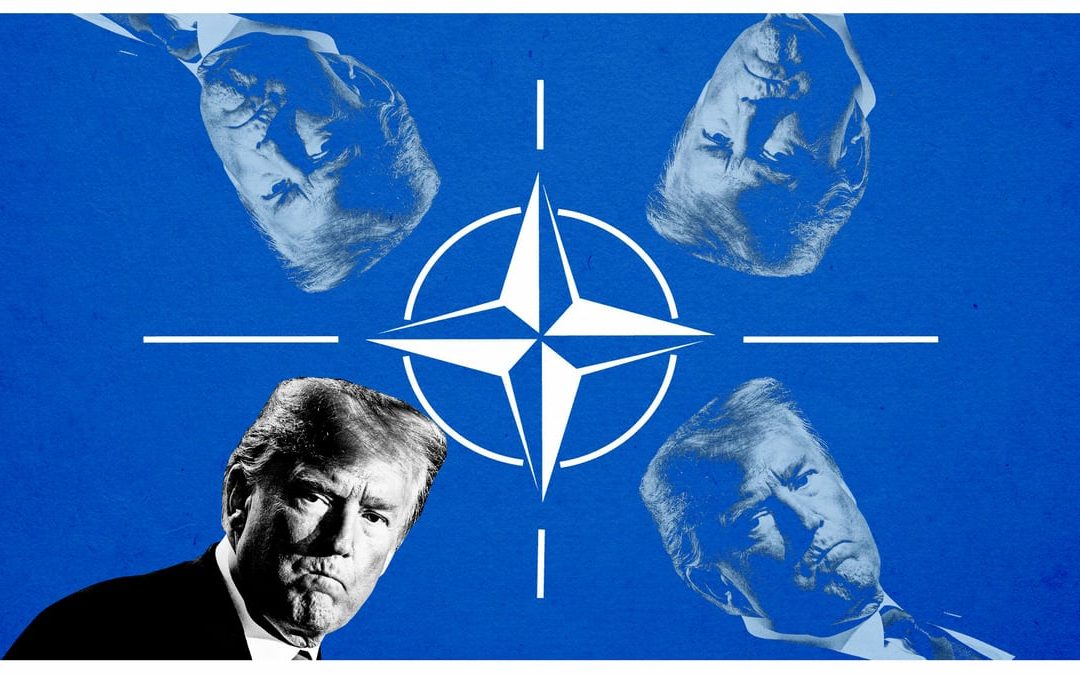 Nattering Nabobs of NATO